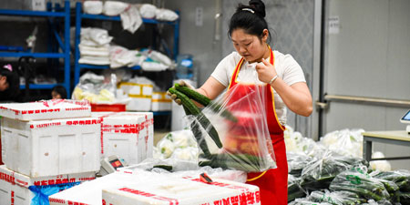 工业级行式打印机为生鲜加工中心快速打印大量物流配送多联单据